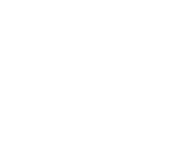 Prompter Hawk